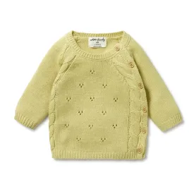 Wilson and Frenchy Knitted Pointelle Kimono Cardigan - Endive
