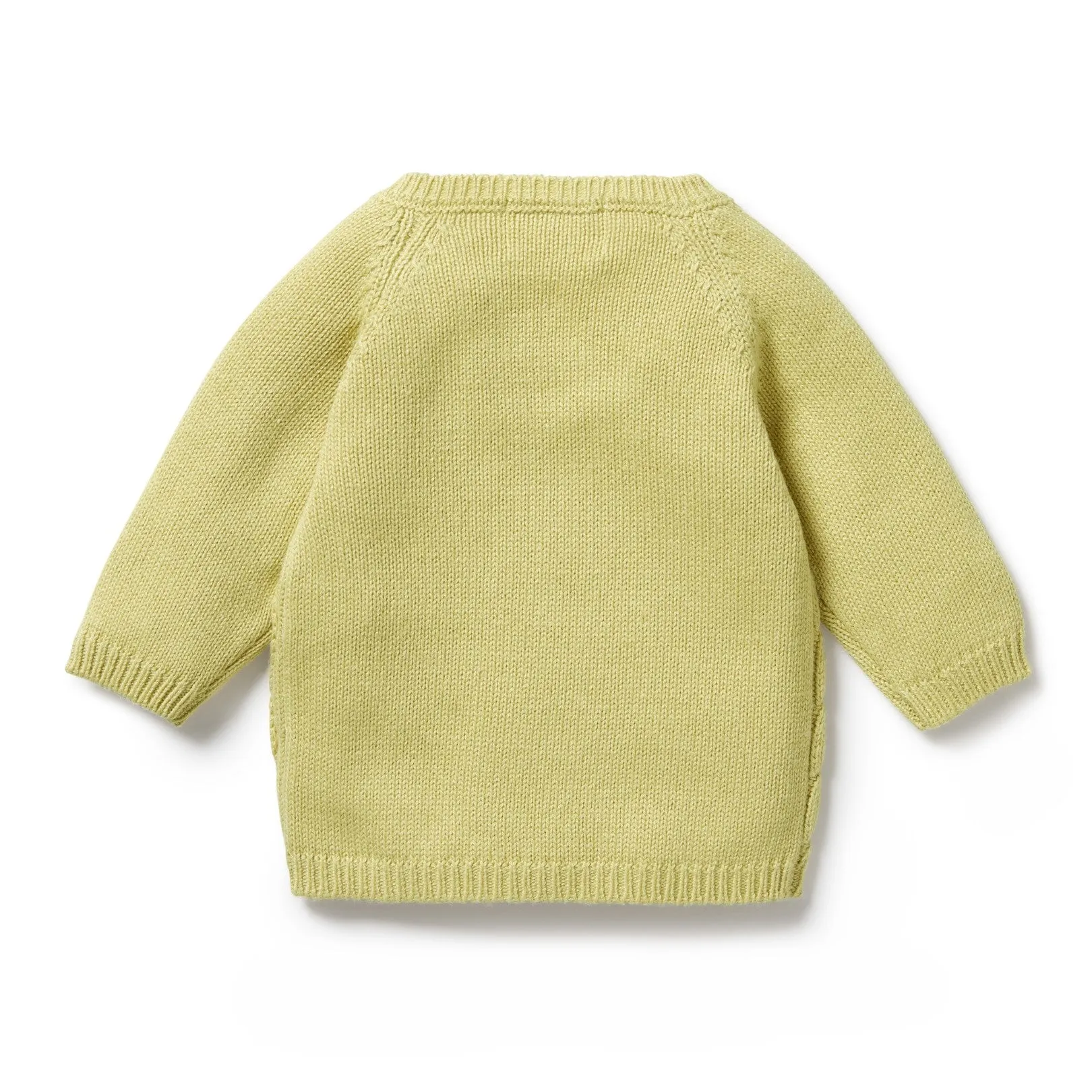 Wilson and Frenchy Knitted Pointelle Kimono Cardigan - Endive